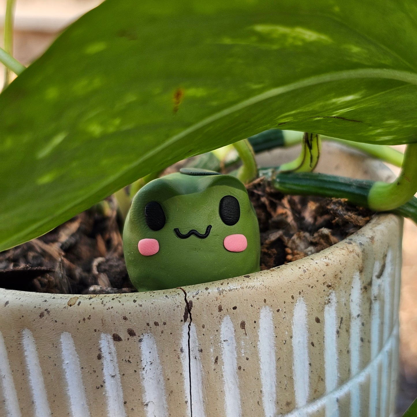 Froggy Desk Friend