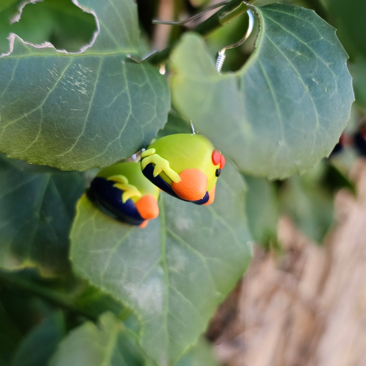 Red Eyed Tree Frog Earrings